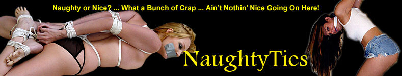 www.naughtyties.com